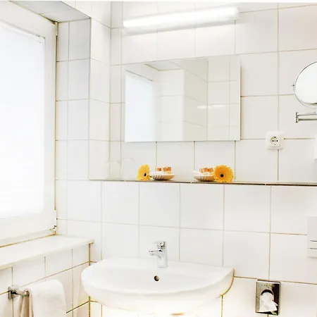 Ξενοδοχείο Anor & Conference Center Frankfurt Airport 4*