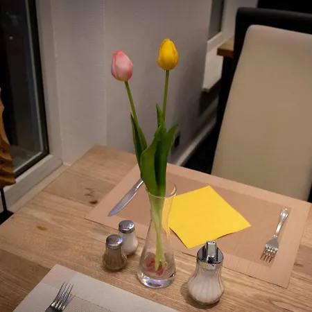 Anor & Conference Center Frankfurt Airport 4* Mörfelden-Walldorf